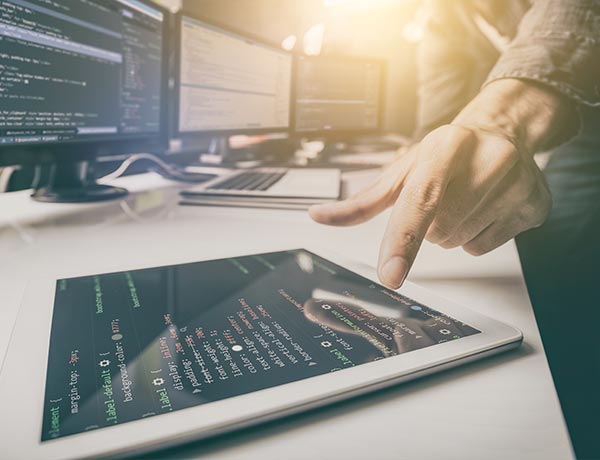 Learn How Our Expertise in Digital Marketing, Social Media, Design, and Development Can Boost Your Business | RoyallSeven