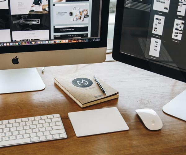 Our Passion for Digital Marketing, Social Media, Design, and Development Drives Us to Deliver Exceptional Results | RoyallSeven